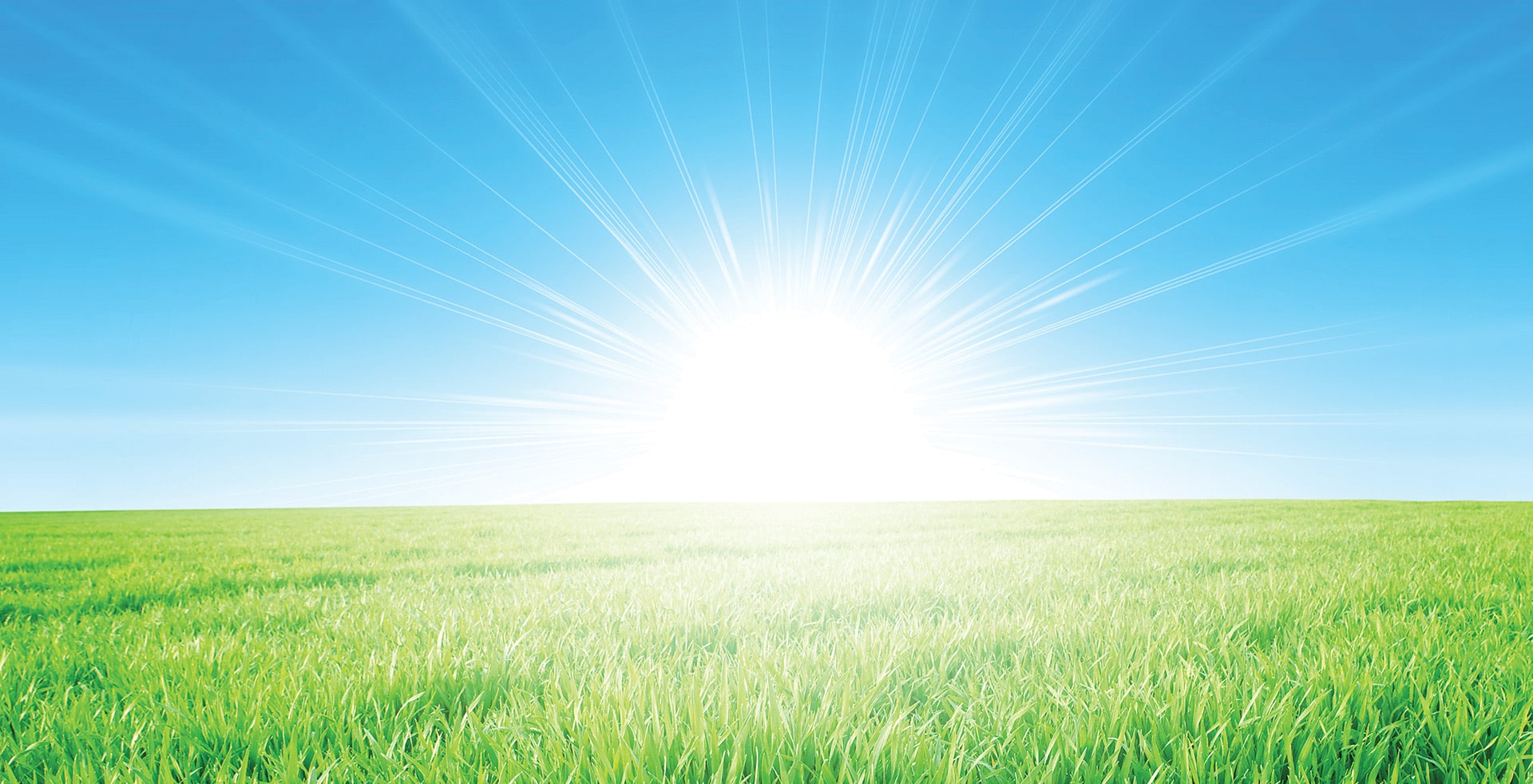 Landscape Background