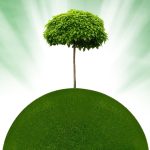 Can Electric Vehicle Batteries be Recycled