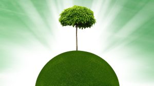 Can Electric Vehicle Batteries be Recycled