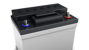 What are the Parts of a UPS Battery?